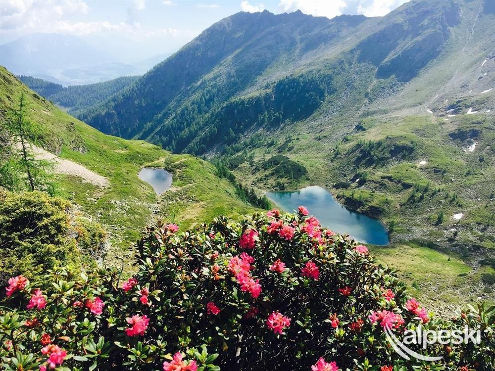 Haus Herbert Moser, SchladmingDachstein, Austria Alpeski