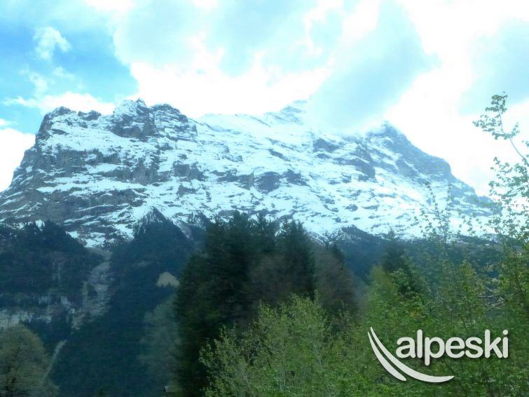 Grindelwald - Chalet Blaugletscher