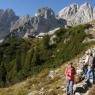 SkiWelt Wilder Kaiser-Brixental  - Salvenmoser Johanna, Ferienwohnung