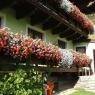 Schladming-Dachstein - Haus Staltner