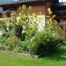 Schladming-Dachstein - Gästehaus Tritscher