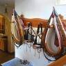 Schladming-Dachstein - Bio-Bauernhof Pircher
