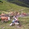 Schladming-Dachstein - Ferienwohnungen Maderebner