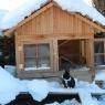 Schladming-Dachstein - Auerhof