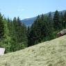 Schladming-Dachstein - Lanshof