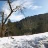 SkiWelt Wilder Kaiser-Brixental  - Bauernhof 