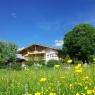 SkiWelt Wilder Kaiser-Brixental  - Landhaus App. Wildschwendt