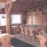 Schladming-Dachstein - Gasthof Krapflhof