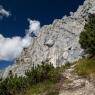 SkiWelt Wilder Kaiser-Brixental  - Haus Auwinkl