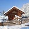Schladming-Dachstein - Pension Bruckreiterhof