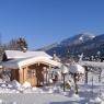 SkiWelt Wilder Kaiser-Brixental  - Appartement Wilder Kaiser, Anni Koller