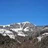 SkiWelt Wilder Kaiser-Brixental  - Biobauernhof Schuster