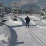 SkiWelt Wilder Kaiser-Brixental  - Haus Schachner