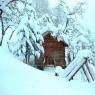 SkiWelt Wilder Kaiser-Brixental  - Siedlerhof -  Erharter Christine