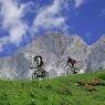 Schladming-Dachstein - Lehner Appartements