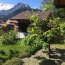 Adelboden - Haldematt