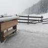 Schladming-Dachstein - Appartement Hauser Kaibling