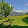 SkiWelt Wilder Kaiser-Brixental  - Chalet Grizzly