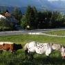 Schladming-Dachstein - Haus Alpina