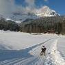 SkiWelt Wilder Kaiser-Brixental  - Mühleggl, Forsthaus