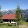 Schladming-Dachstein - Holzerhof