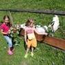 Schladming-Dachstein - Apparthotel Ferienalm