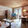SkiWelt Wilder Kaiser-Brixental  - Appartements Sonnbichl