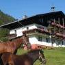 Schladming-Dachstein - Appartements Huberhof
