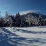 SkiWelt Wilder Kaiser-Brixental  - Ferienwohnung Schrandl