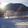 Schladming-Dachstein - Alpenblume