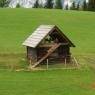 Schladming-Dachstein - Hirzhof