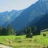 Schladming-Dachstein - Höflechner, Potzalm
