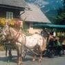 Schladming-Dachstein - Gasthof Stiegler