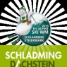 Schladming-Dachstein - Appartement Iris