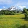 SkiWelt Wilder Kaiser-Brixental  - Appartements Kinzl S'Zirbenstüberl
