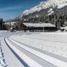 SkiWelt Wilder Kaiser-Brixental  - Ferienwohnung Springer