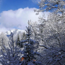 Gstaad - Tree-Tops, Chalet
