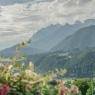 Schladming-Dachstein - Gasthof-Pension Kitzer