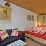 SkiWelt Wilder Kaiser-Brixental  - Ferienwohnung Julia