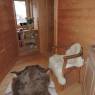 SkiWelt Wilder Kaiser-Brixental  - Ferienhaus Going
