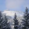 SkiWelt Wilder Kaiser-Brixental  - Berghof Appartement/ Ferienwohnung TOP 77