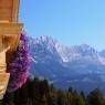 SkiWelt Wilder Kaiser-Brixental  - Appartement Oberleiten