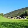 Schladming-Dachstein - Obergruberhof