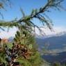 Flachau - Ausserraingut