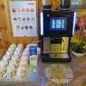 Schladming-Dachstein - Sportpension Alpenrose