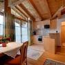SkiWelt Wilder Kaiser-Brixental  - Appartments Antoniushof