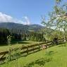 SkiWelt Wilder Kaiser-Brixental  - Buchau, Haus