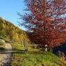 Schladming-Dachstein - Thonnerhof - Familie Schmalengruber