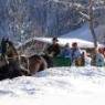 SkiWelt Wilder Kaiser-Brixental  - Appartmenthaus Danzerhof