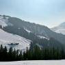 SkiWelt Wilder Kaiser-Brixental  - Alm-Appartement, Fam. Niedermühlbichler